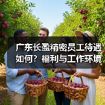广东长盈精密员工待遇如何？福利与工作环境全解析