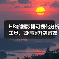 HR薪酬数据可视化分析工具，如何提升决策效率？