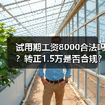 试用期工资8000合法吗？转正1.5万是否合规？