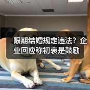限期结婚规定违法?企业回应称初衷是鼓励 限期结婚规定违法?企业回应称初衷是鼓励