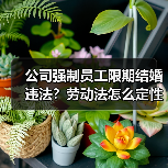 公司强制员工限期结婚违法?劳动法怎么定性? 公司强制员工限期结婚违法?劳动法怎么定性?