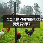 全部门KPI考核指标222页免费领取