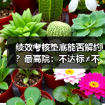 绩效考核垫底能否解约?最高院:不达标≠不能胜任 绩效考核垫底能否解约?最高院:不达标≠不能胜任