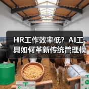 HR工作效率低?AI工具如何革新传统管理模式? HR工作效率低?AI工具如何革新传统管理模式?