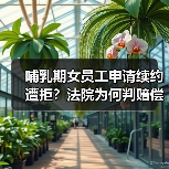 哺乳期女员工申请续约遭拒?法院为何判赔偿 哺乳期女员工申请续约遭拒?法院为何判赔偿