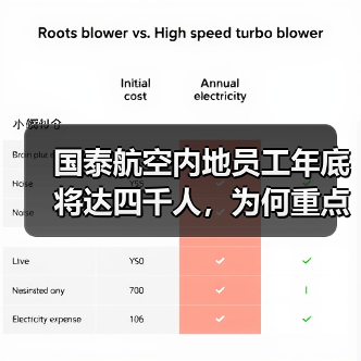 国泰航空内地员工年底将达四千人,为何重点招聘这些岗位? 国泰航空内地员工年底将达四千人,为何重点招聘这些岗位?