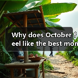 Why does October feel like the best month to explore Wuhan? Here is your complete travel breakdown Why does October feel like the best month to explore Wuhan? Here is your complete travel breakdown