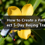 How to Create a Perfect 5-Day Beijing Travel Itinerary That Covers All the Highlights?