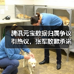 腾讯元宝数据归属争议引热议，张军致歉承诺权属不变
