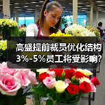 高盛提前裁员优化结构 3%-5%员工将受影响？