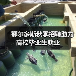 鄂尔多斯秋季招聘助力高校毕业生就业 鄂尔多斯秋季招聘助力高校毕业生就业