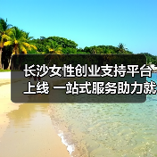 长沙女性创业支持平台上线 一站式服务助力就业 长沙女性创业支持平台上线 一站式服务助力就业