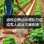 政校企联动如何助力退役军人就业无缝衔接？
