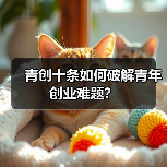 青创十条如何破解青年创业难题? 青创十条如何破解青年创业难题?