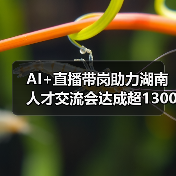 AI+直播带岗助力湖南人才交流会达成超1300就业意向 AI+直播带岗助力湖南人才交流会达成超1300就业意向