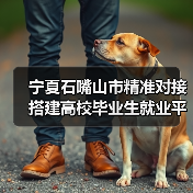 宁夏石嘴山市精准对接搭建高校毕业生就业平台 宁夏石嘴山市精准对接搭建高校毕业生就业平台