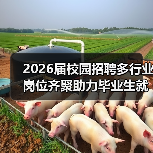 2026届校园招聘多行业岗位齐聚助力毕业生就业