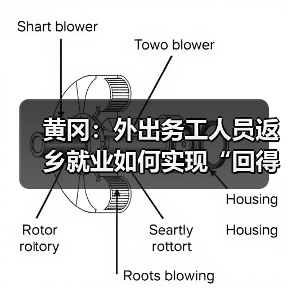 黄冈:外出务工人员返乡就业如何实现“回得来、留得住”? 黄冈:外出务工人员返乡就业如何实现“回得来、留得住”?