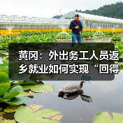 黄冈:外出务工人员返乡就业如何实现“回得来、留得住”? 黄冈:外出务工人员返乡就业如何实现“回得来、留得住”?