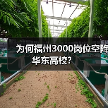 为何福州3000岗位空降华东高校? 为何福州3000岗位空降华东高校?