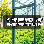 线上招聘新渠道！求职者如何在家门口找到好工作？