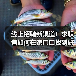 线上招聘新渠道！求职者如何在家门口找到好工作？