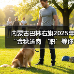 内蒙古巴林右旗2025年“金秋送岗 ‘职’等你来”招聘活动举办 内蒙古巴林右旗2025年“金秋送岗 ‘职’等你来”招聘活动举办