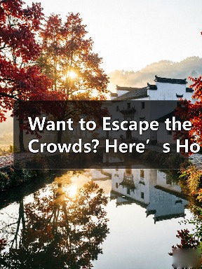 Want to Escape the Crowds? Here’s How to Explore Hejiang Yunhe Rice Terrace Like a Local Want to Escape the Crowds? Here’s How to Explore Hejiang Yunhe Rice Terrace Like a Local