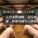 人力求职指南:岗位选择、薪资沟通与入职前确认事项 人力求职指南:岗位选择、薪资沟通与入职前确认事项
