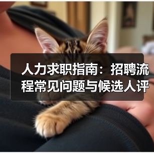 人力求职指南:招聘流程常见问题与候选人评估建议 人力求职指南:招聘流程常见问题与候选人评估建议
