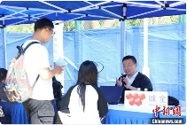 上海杨浦举办两岸暨港澳侨大学生实习见习就业招聘会